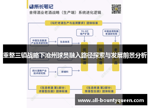 重整三镇战略下沧州球员融入路径探索与发展前景分析 重整三镇战略下沧州球员融入路径探索与发展前景分析