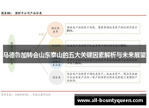 马德鲁加转会山东泰山的五大关键因素解析与未来展望 马德鲁加转会山东泰山的五大关键因素解析与未来展望
